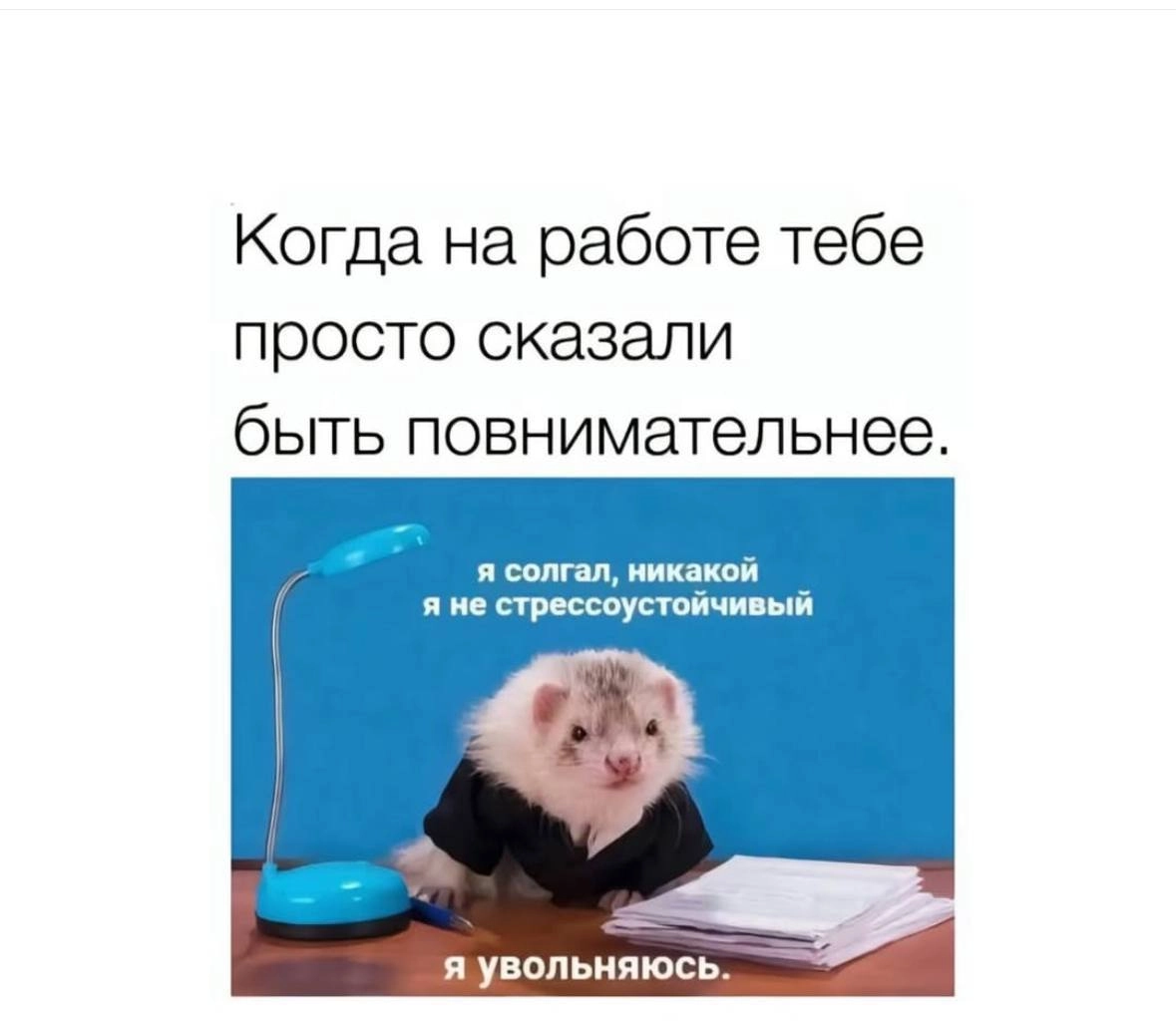 Психологическое состояние наших сотрудников крайне важно, поэтому выдохните и чуток отвлекитесь на мемы 😮‍💨🫂 | Сетка — новая социальная сеть от hh.ru