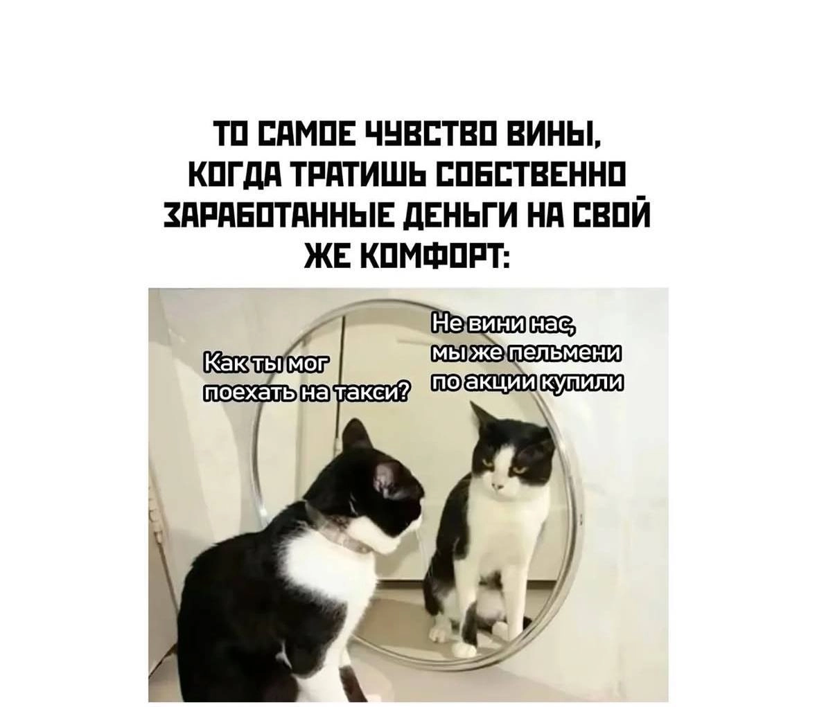 Психологическое состояние наших сотрудников крайне важно, поэтому выдохните и чуток отвлекитесь на мемы 😮‍💨🫂 | Сетка — новая социальная сеть от hh.ru
