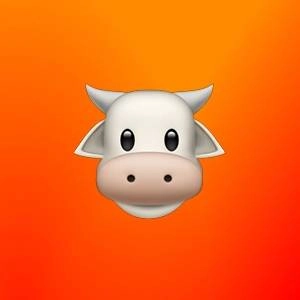 Константин Радугин | Сетка — социальная сеть от hh.ru