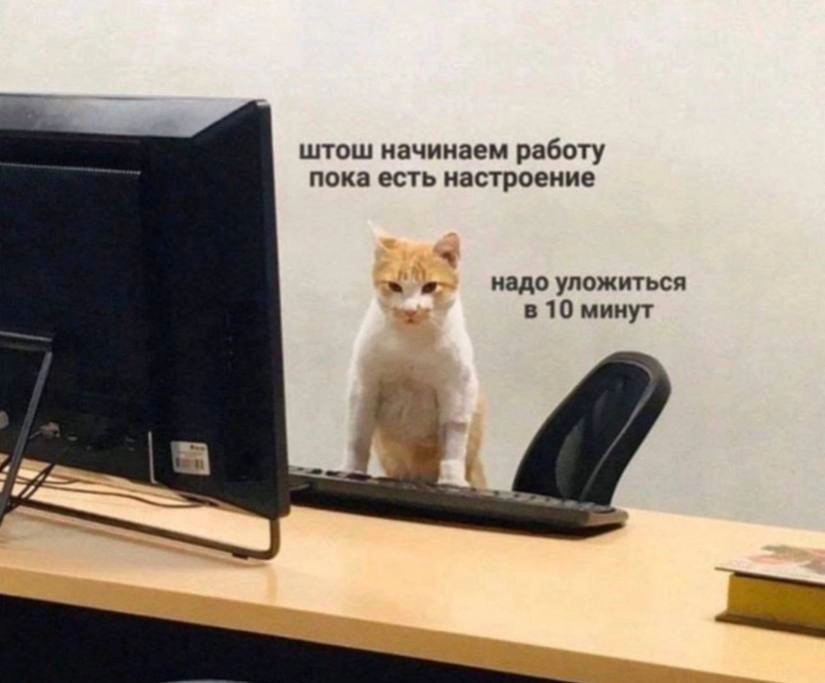 Хотите создать удобный онлайн-справочник или раздел FAQ для своих пользователей? Узнайте, как с помощью Документерры разработать эффективную и понятную справочную систему, которая улучшит взаимодейств... | Сетка — новая социальная сеть от hh.ru