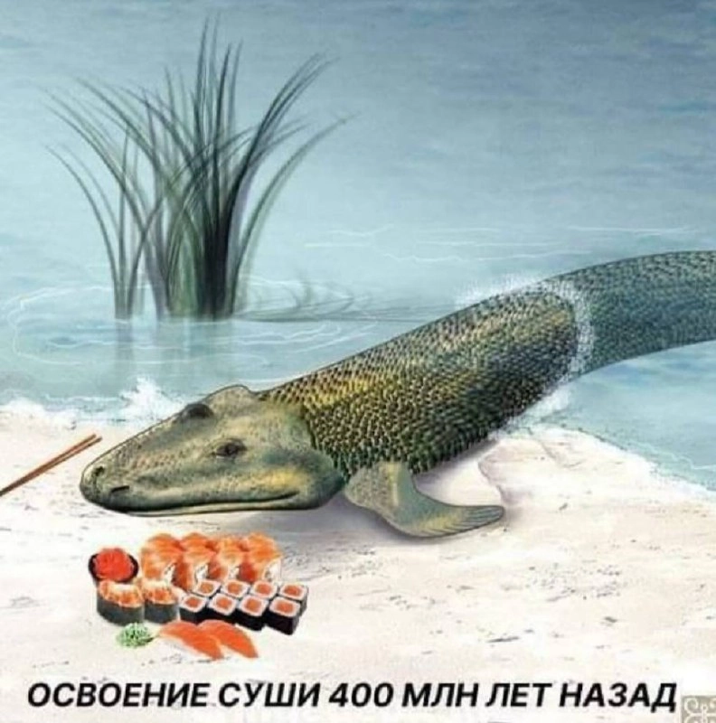 Мем
Рубрика позавчерашний мем. Делись в комментариях своим любимым мемом прошлой недели
#настявшляпе #мемвшляпе | Сетка — новая социальная сеть от hh.ru