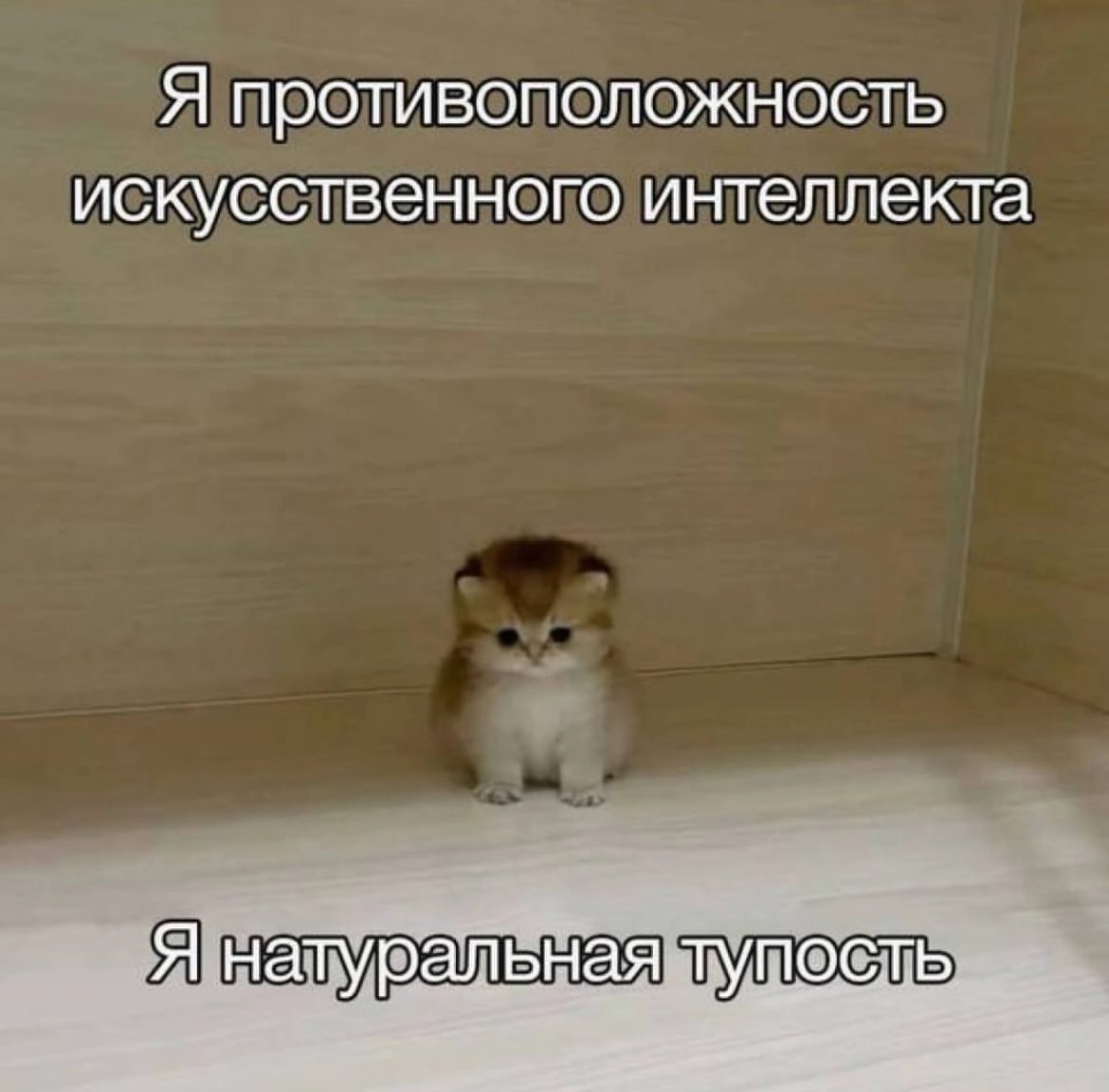 Подборка мемов на тот самый случай в рабочем чате | Сетка — новая социальная сеть от hh.ru