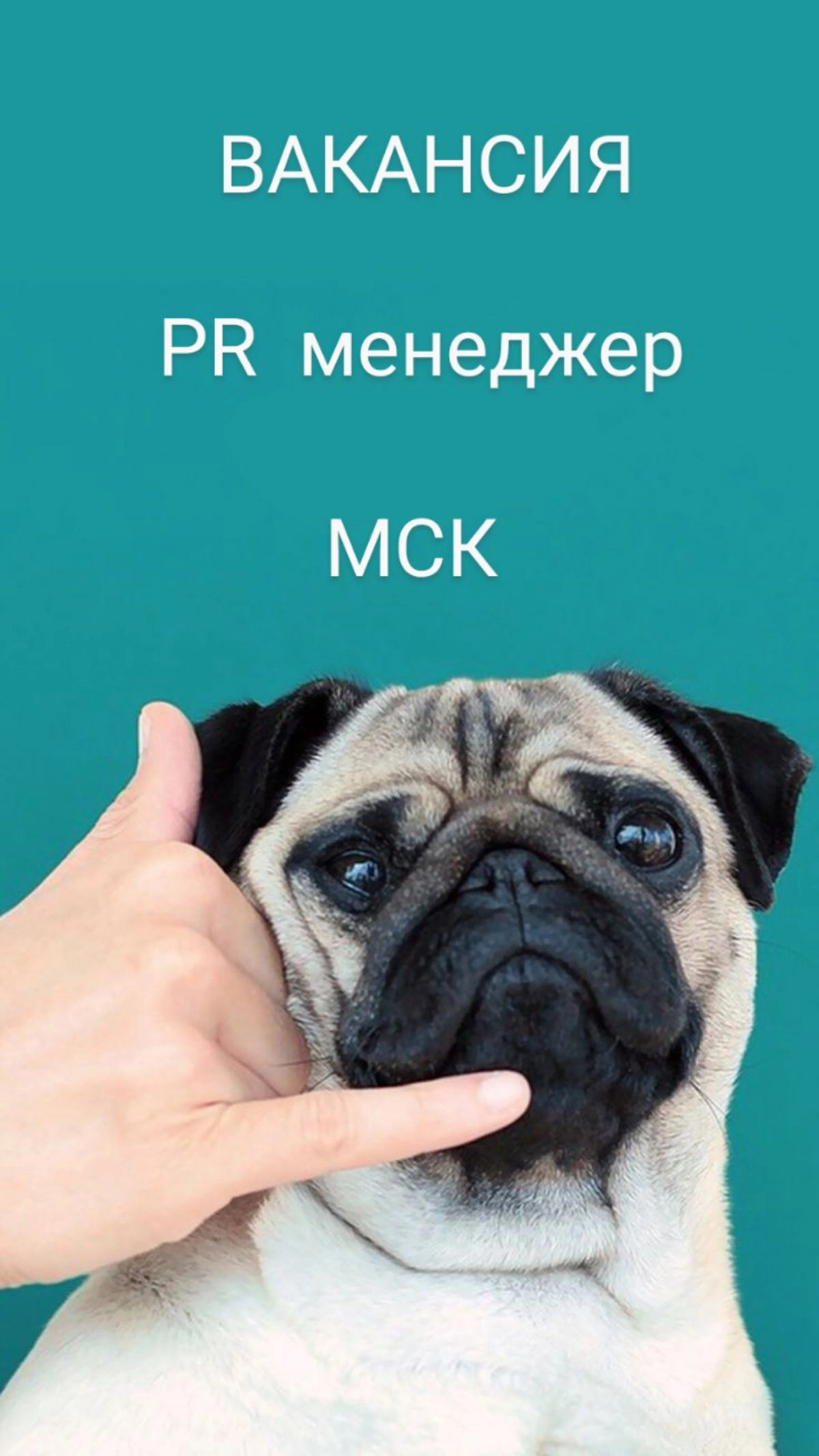 #Вакансия  #Prменеджер
Cognitive Pilot в поисках сильного и амбициозного PR менеджера!
Что предстоит делать:
• Обеспечивать эффективное продвижение бренда компании в СМИ (электронные СМИ, ТВ, радио, п... | Сетка — новая социальная сеть от hh.ru