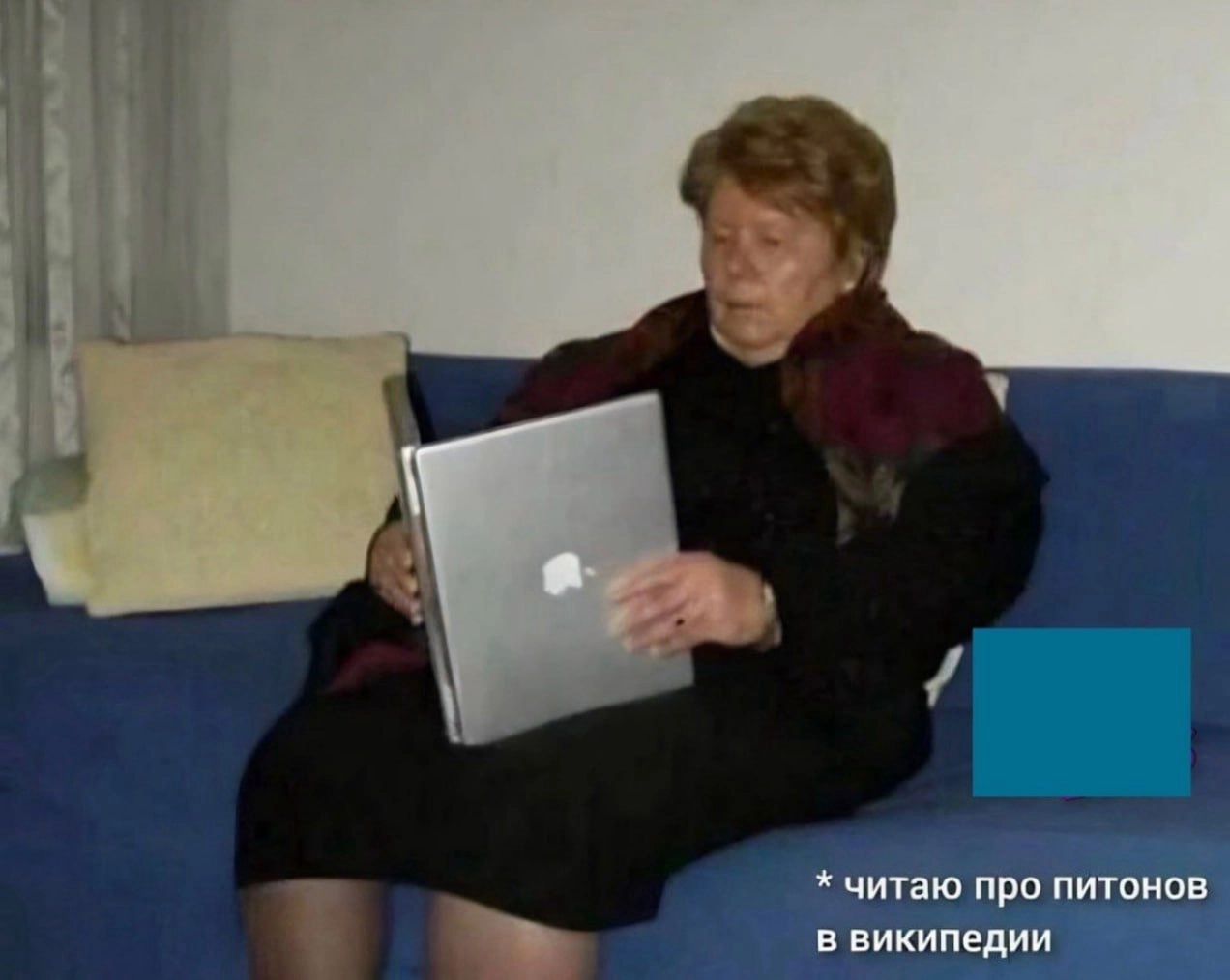врываемся в IT с ноги, дуреем и на ужин готовим полено | Сетка — новая социальная сеть от hh.ru