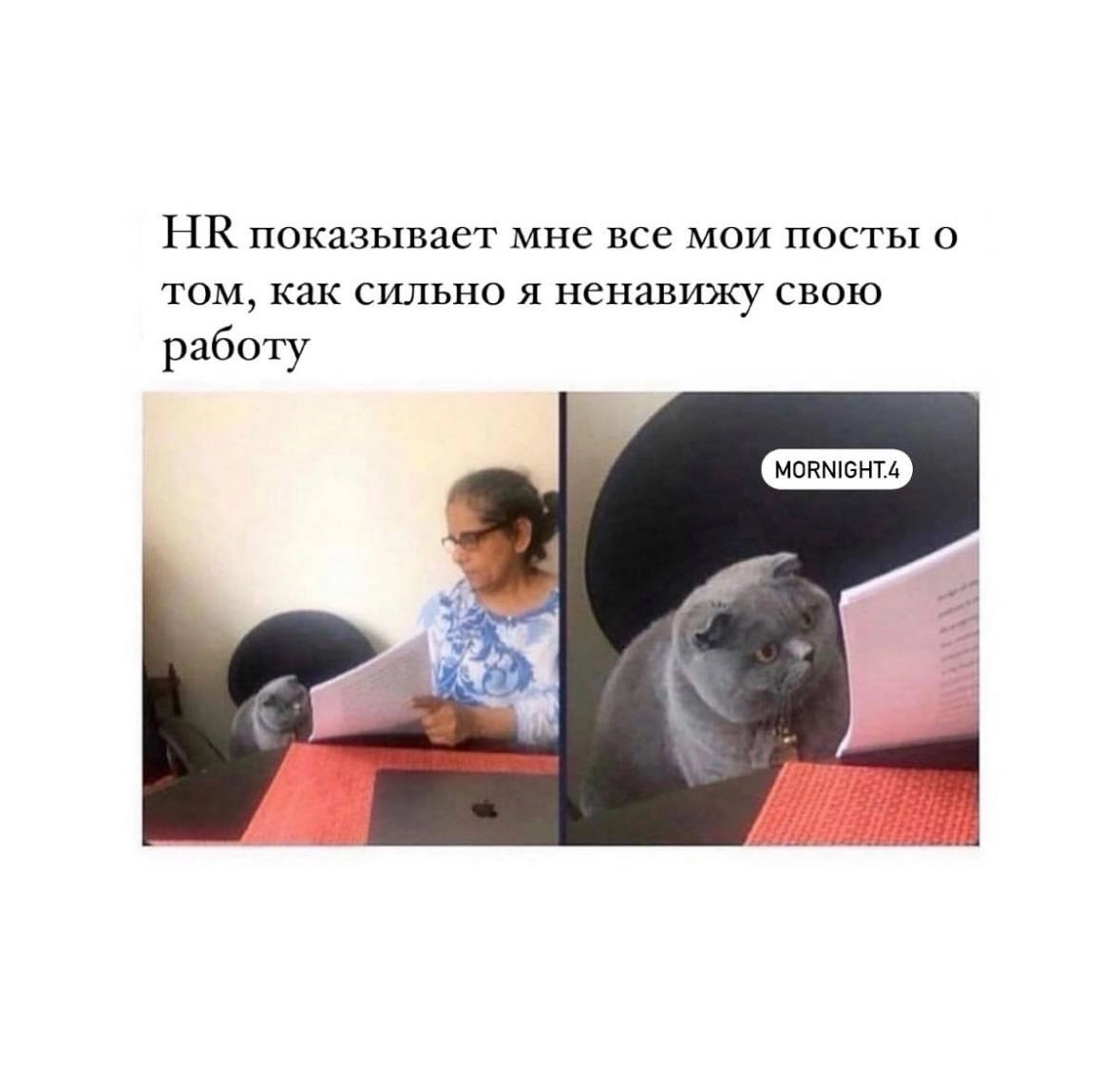 Смех продлевает жизнь, поэтому мы здесь с новой порцией мемов 😉 | Сетка — новая социальная сеть от hh.ru