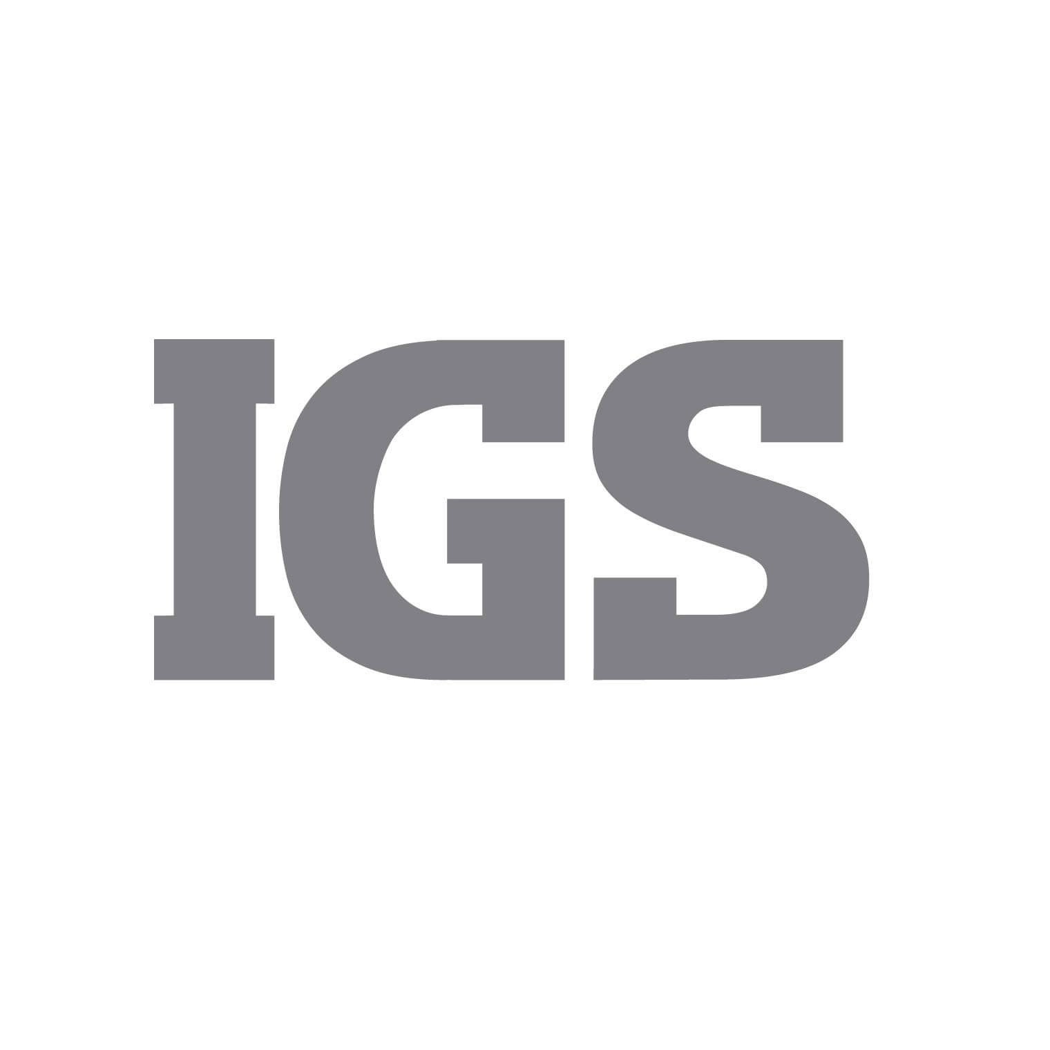 Инвестгеосервис