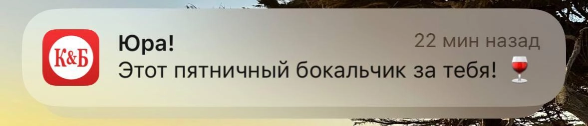 Планы на день: сидим, скриним пуши про «Оскар» и Юру, улыбаемся | Сетка — новая социальная сеть от hh.ru