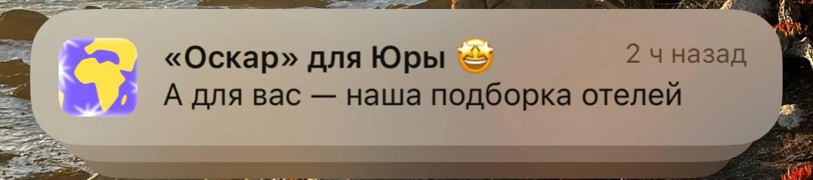 Планы на день: сидим, скриним пуши про «Оскар» и Юру, улыбаемся | Сетка — новая социальная сеть от hh.ru