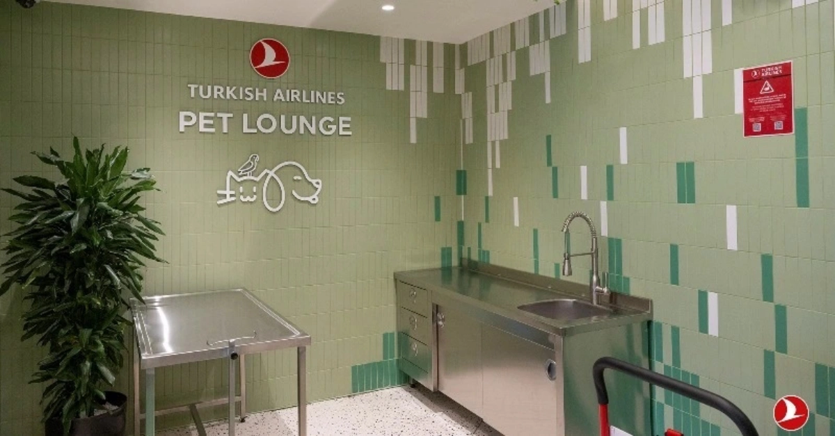 Turkish Airlines сделали в аэропорту Стамбула лаундж для животных. Это специальный зал площадью 250 м2, где есть вольеры, небольшие прогулочные лужайки, поилки и кабинет ветеринара | Сетка — новая социальная сеть от hh.ru