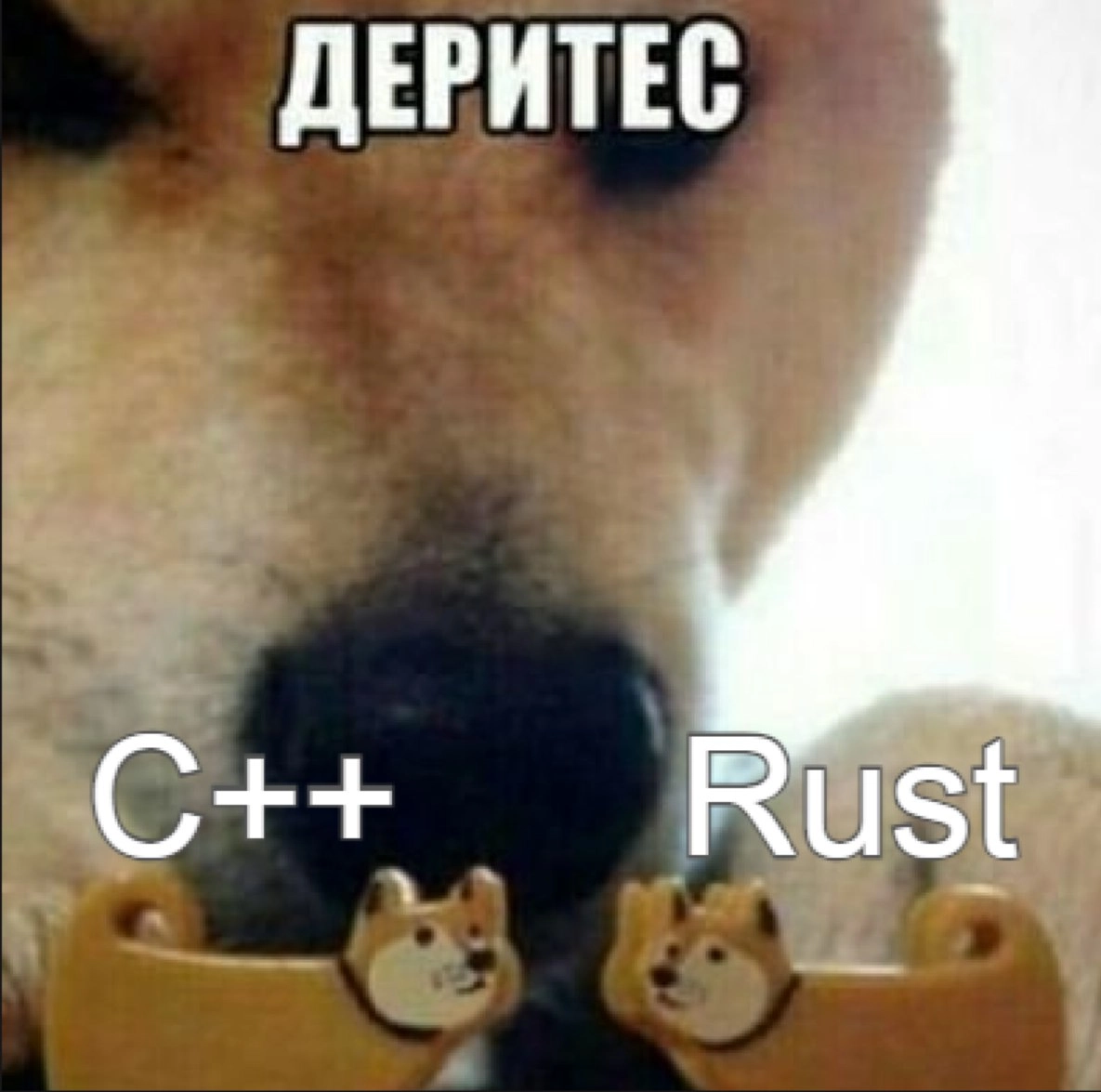 В последнее время всё чаще говорят про инструменты для Python, написанные на Rust. Видимо на фоне успехов Astral с ruff и uv лёд тронулся | Сетка — новая социальная сеть от hh.ru