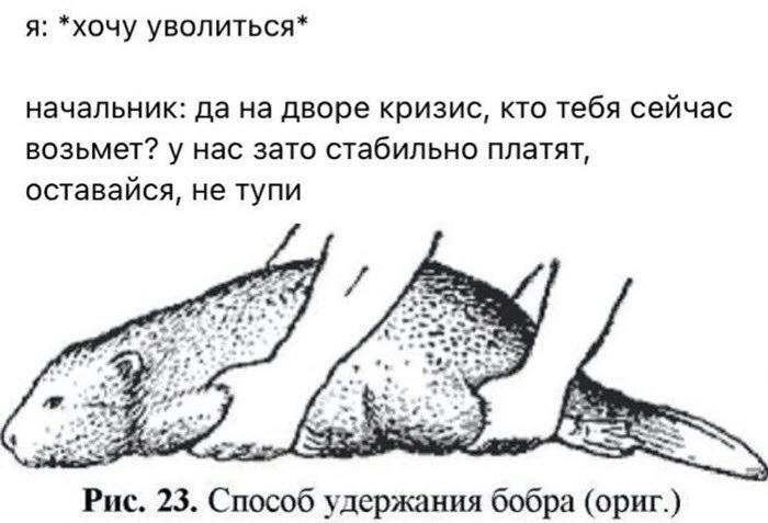 Сетка — новая социальная сеть от hh.ru