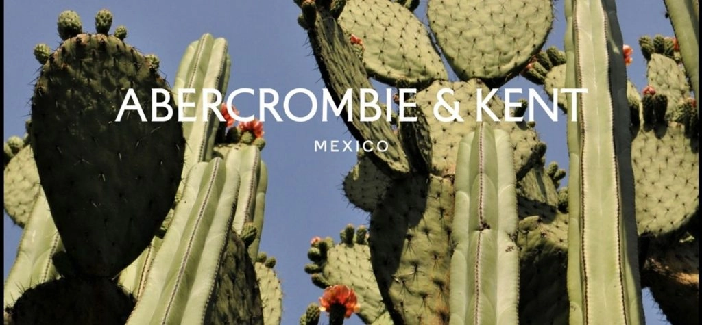 Мексика
https://procreator.top/2025/01/28/abercrombie-kent-announces-opening-of-newest-dmc-in-mexico | Сетка — новая социальная сеть от hh.ru