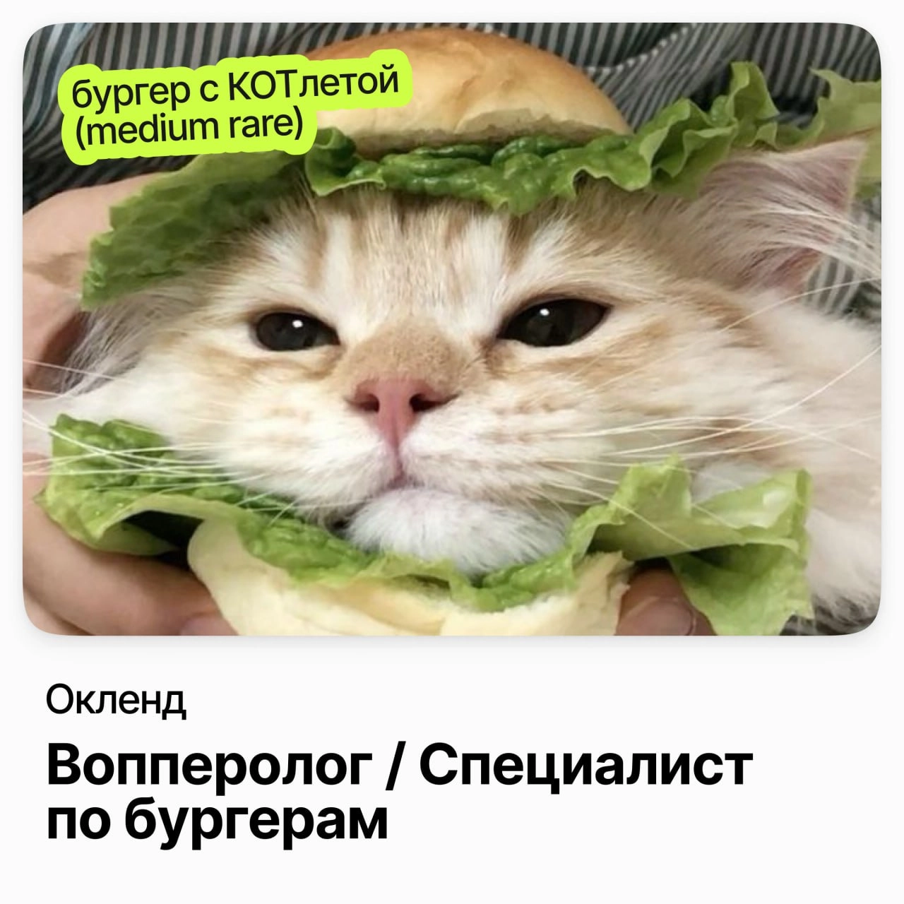 Новозеландский Burger King ищет знатока вопперологических наук для детальной оценки легендарного Воппера | Сетка — новая социальная сеть от hh.ru