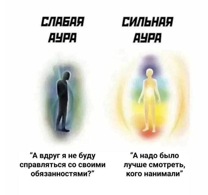 Сетка — новая социальная сеть от hh.ru