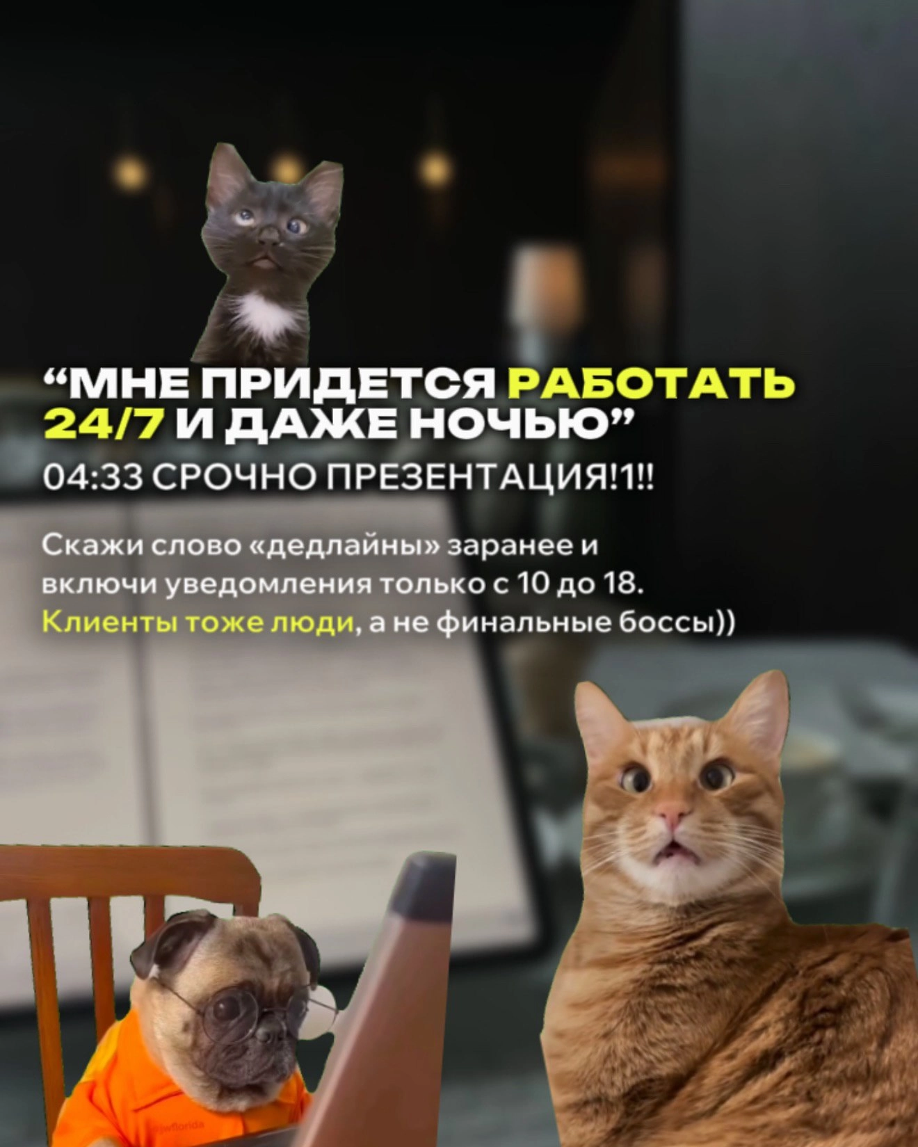 Какие советы еще бы добавили в эту подборку? 👀
@dolinskiiit | Сетка — новая социальная сеть от hh.ru