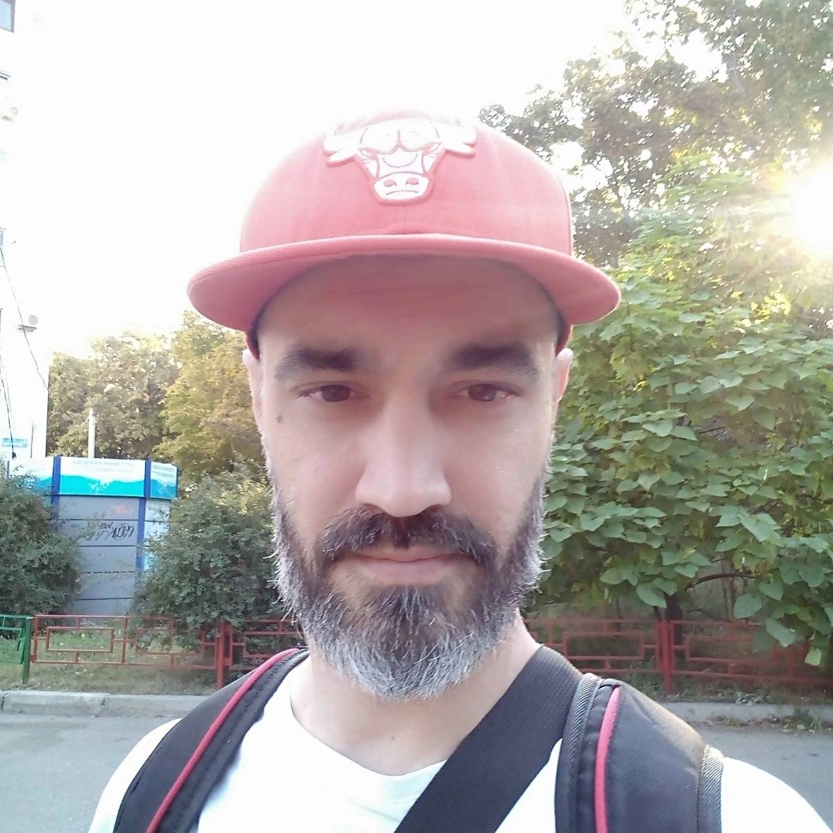 profile avatar