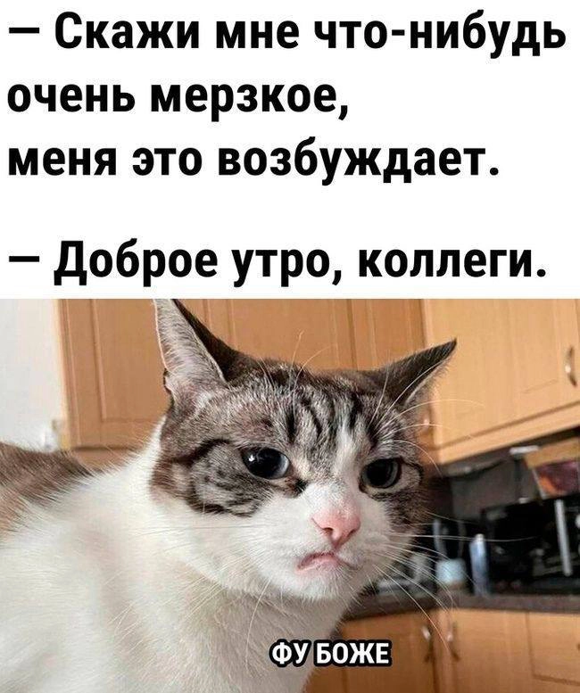 Сетка — новая социальная сеть от hh.ru