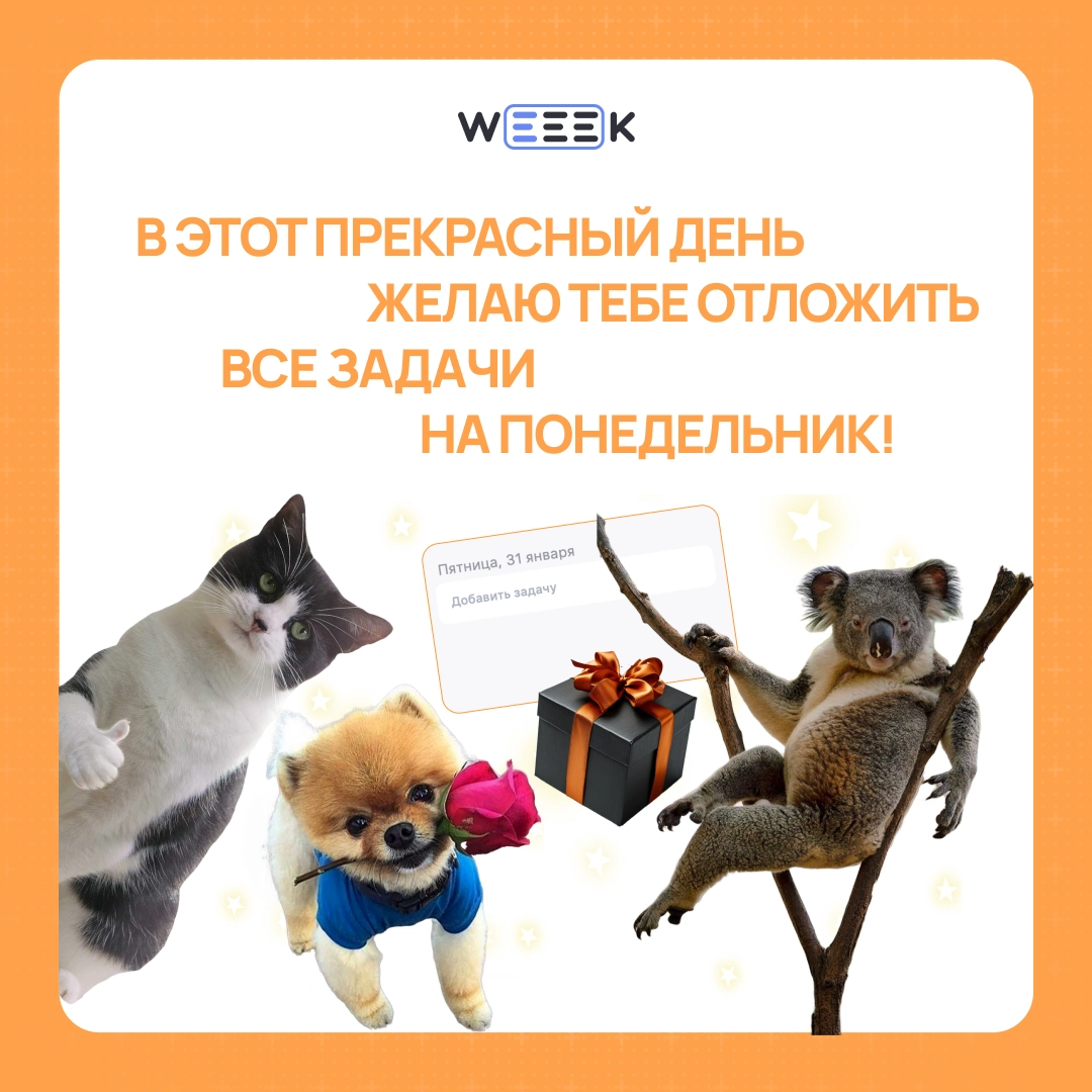 Сетка — новая социальная сеть от hh.ru