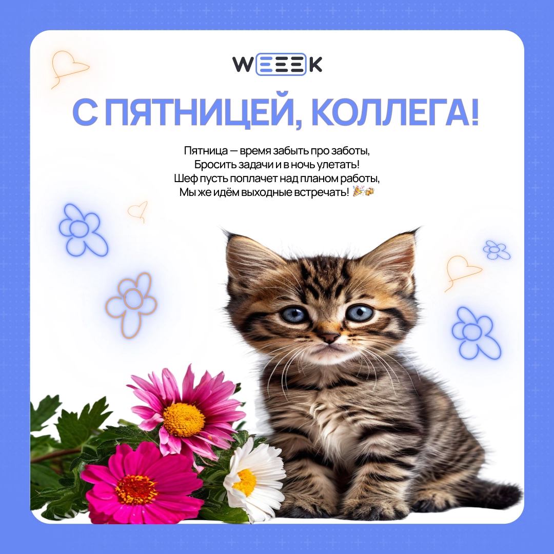Сетка — новая социальная сеть от hh.ru