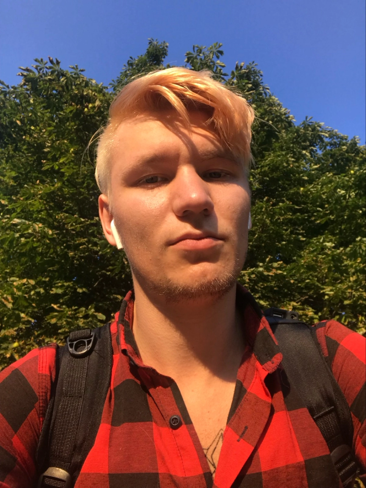 profile avatar