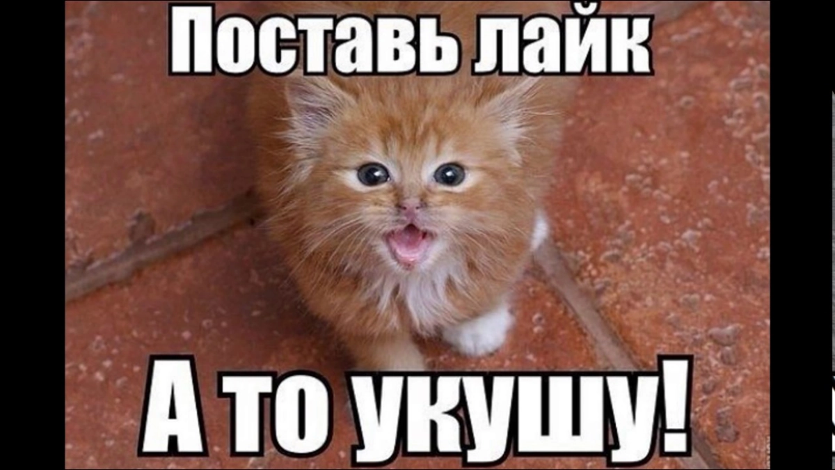 Проверим щедрость людей в сетке! | Сетка — новая социальная сеть от hh.ru