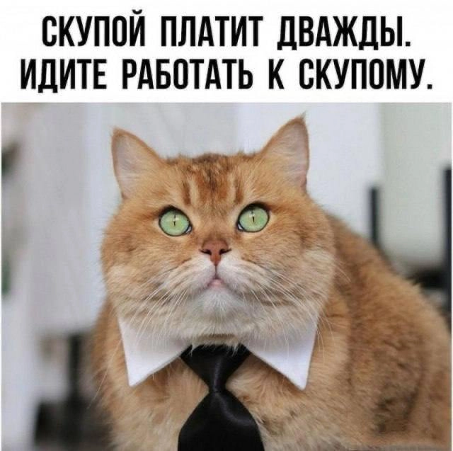 Мем
Рубрика позавчерашний мем. Делись в комментариях своим любимым мемом прошлой недели
#настявшляпе #мемвшляпе | Сетка — новая социальная сеть от hh.ru