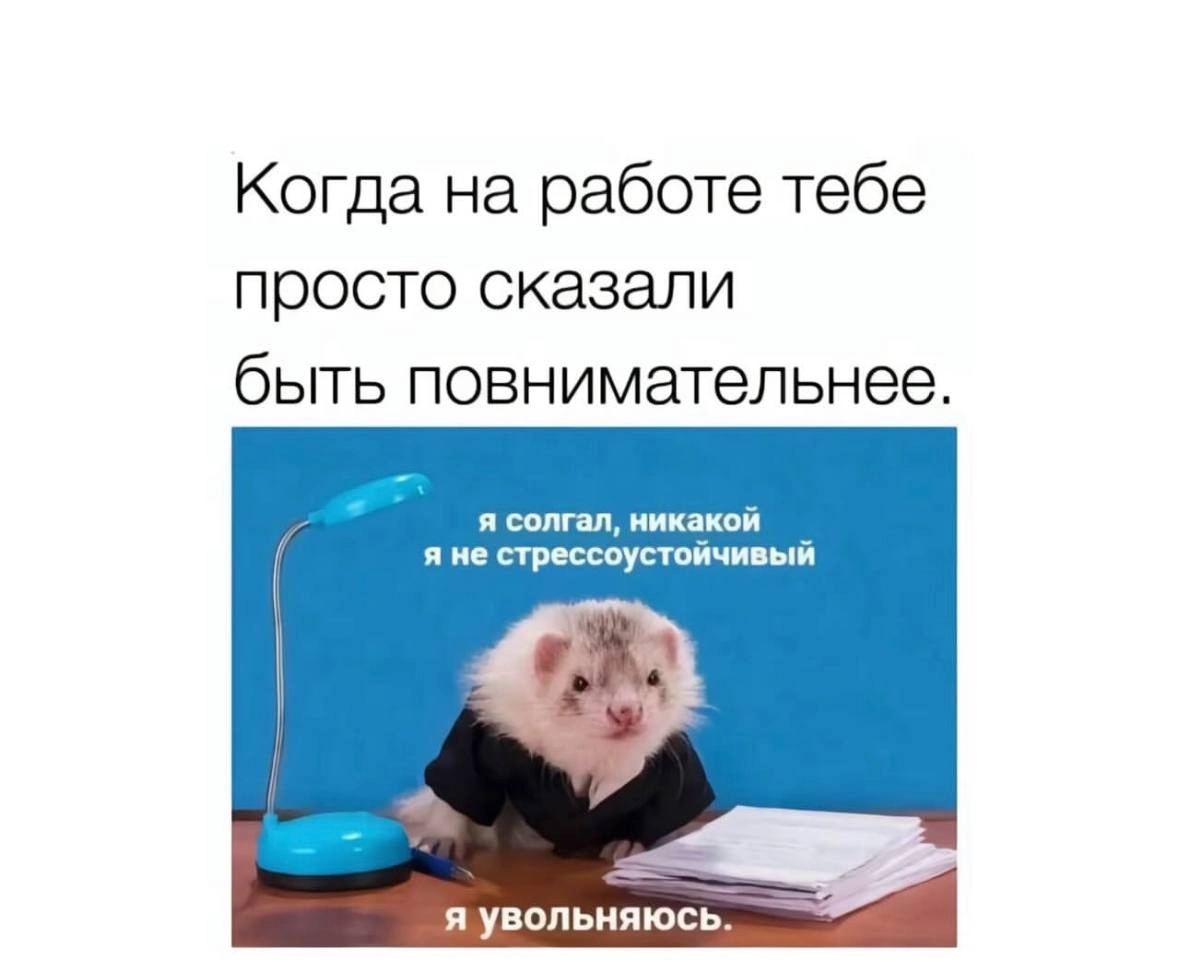 Объявляем легальный перерыв на посмеяться 😉 | Сетка — новая социальная сеть от hh.ru