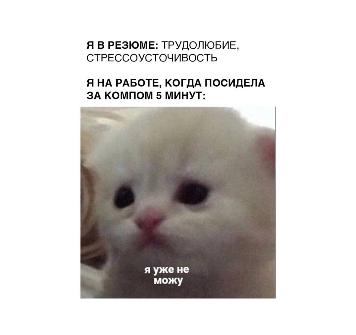 Объявляем легальный перерыв на посмеяться 😉 | Сетка — новая социальная сеть от hh.ru