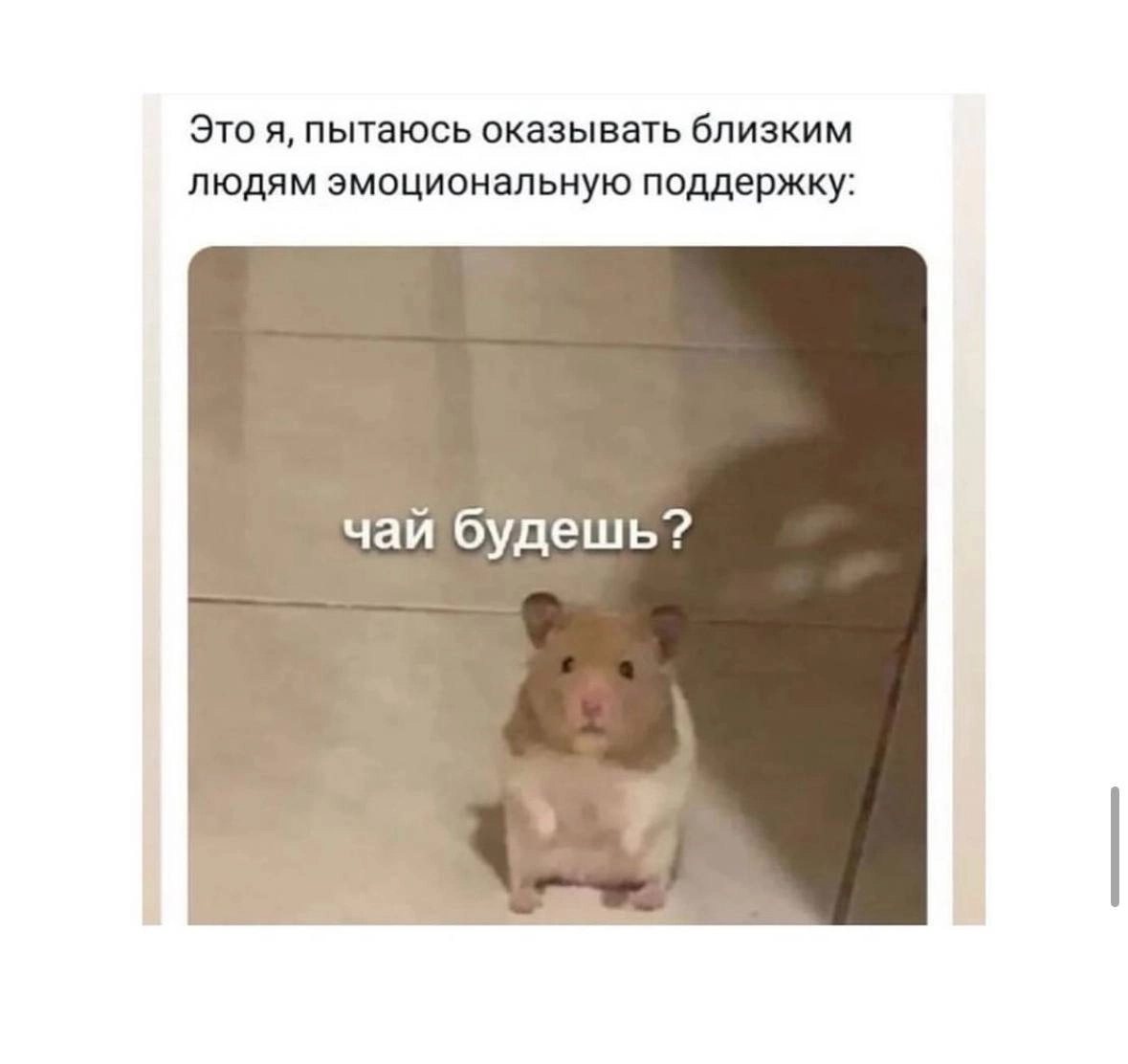 Объявляем легальный перерыв на посмеяться 😉 | Сетка — новая социальная сеть от hh.ru