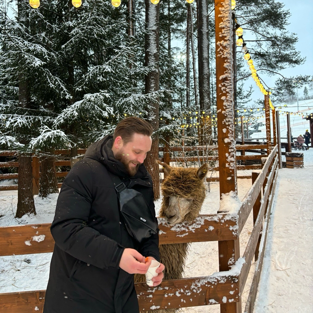 Network member avatar