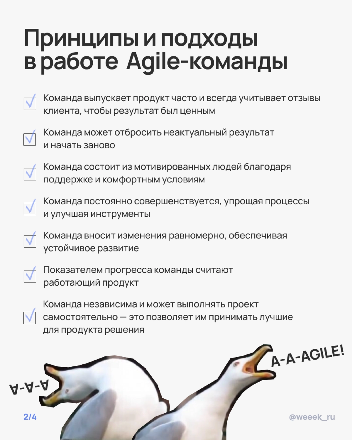 Мечтаешь о команде, которая сама всё делает, а ты просто наблюдаешь? Ну, почти так и будет, если правильно внедрить Agile. В карточках разобрали, как это сделать 🏆 | Сетка — новая социальная сеть от hh.ru