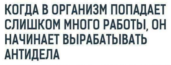 Сетка — новая социальная сеть от hh.ru