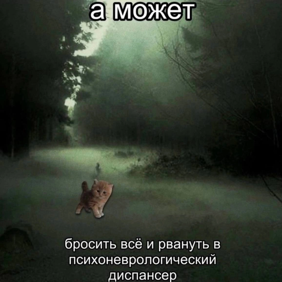 Я утром: просто хочу свой оффер на четыреста тыщ в минуту и нормальное человеческое дмс-перфоманс ревью-премию за полугодие
Я вечером: провела карьерную сессию, созвон со своим проджектом, консультаци... | Сетка — новая социальная сеть от hh.ru