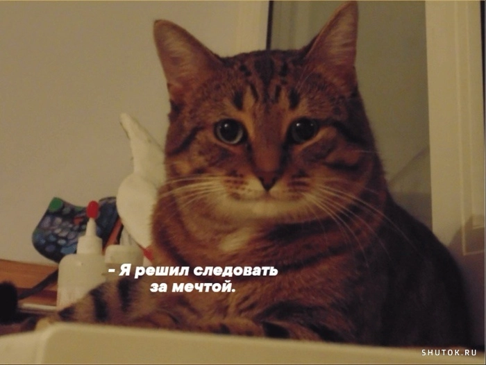 Сетка — новая социальная сеть от hh.ru