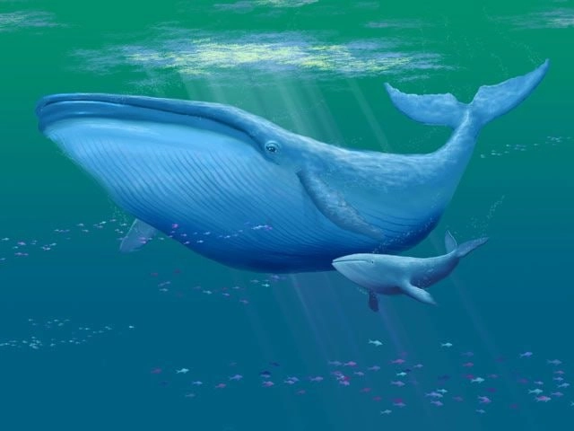 Как я уменьшил размер образа docker на 40%
https://habr.com/ru/articles/791426/ | Сетка — новая социальная сеть от hh.ru