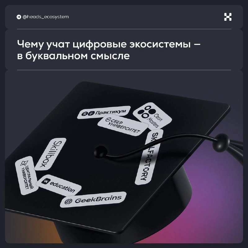 Поступил в экосистему > поступил в вуз
Компания Wildberries & Russ объявила, что скоро запустит свою образовательную платформу | Сетка — новая социальная сеть от hh.ru