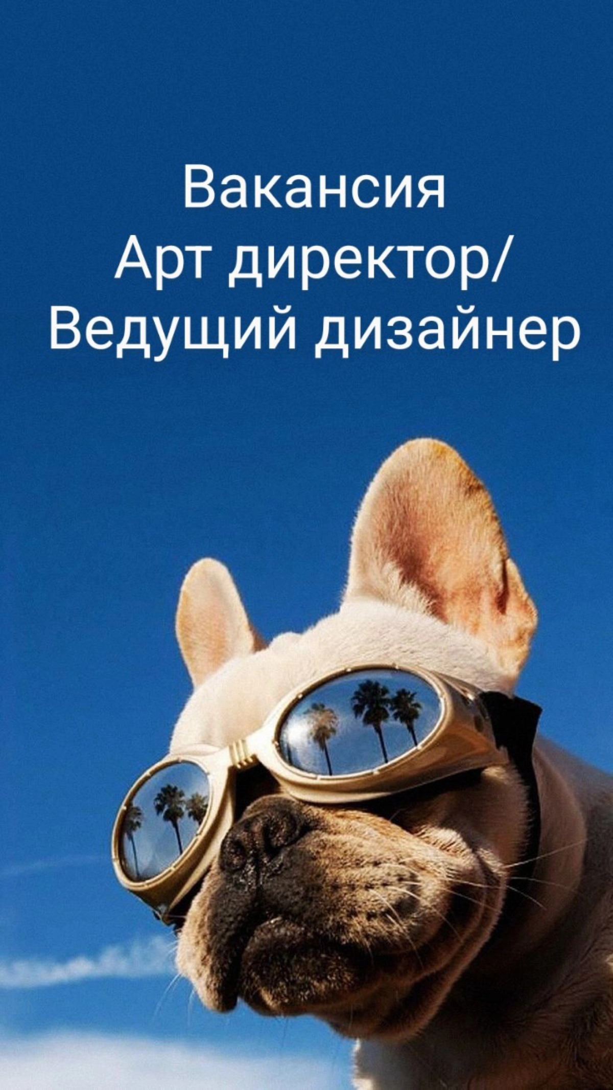 #вакансия #артдиректор #ведущийдизайнер 
Арт-директор / Ведущий дизайнер (Senior designer) (Luxury Branding) 
🔺Формат: удаленка 
🔺Зарплата: 175 000 руб/мес 

Мы - Styled Settings, премиальный бренд ку... | Сетка — новая социальная сеть от hh.ru