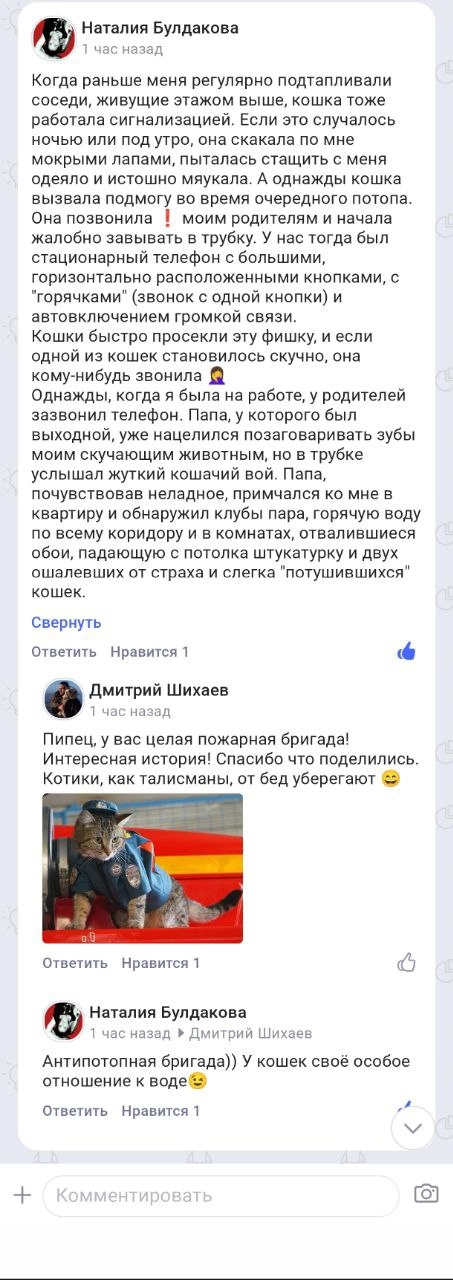 Интересный комментарий получил в TenChat к прошлому посту. 
Знайте! Если у вас нет котиков, вы в опасности! | Сетка — новая социальная сеть от hh.ru