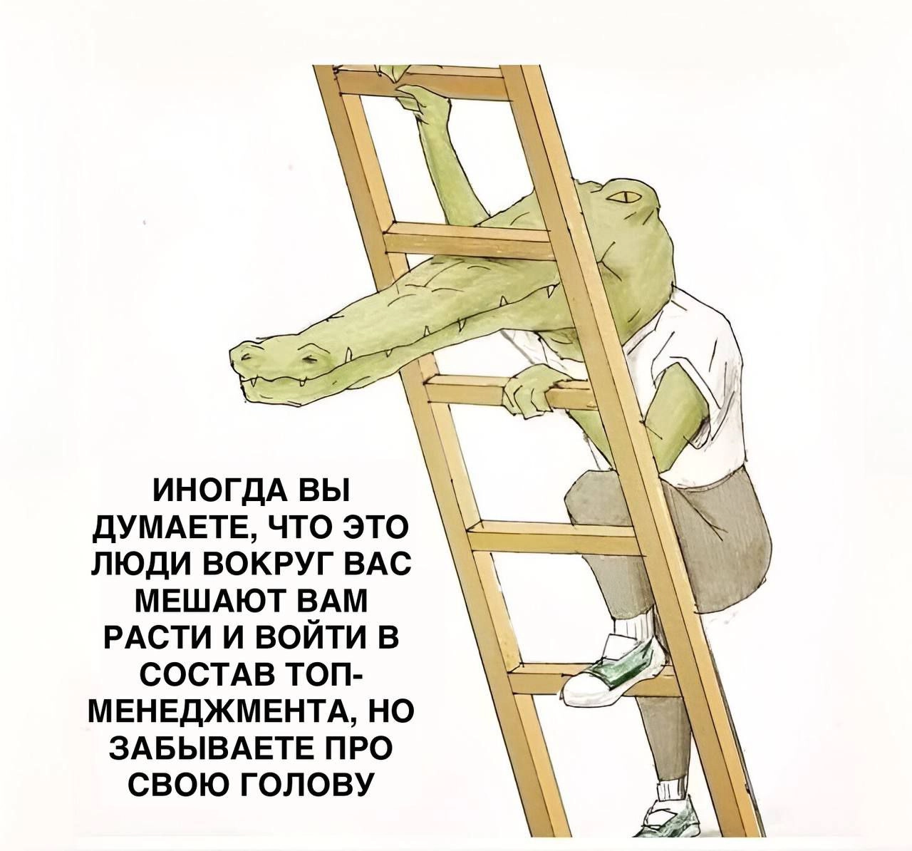 😄 | Сетка — новая социальная сеть от hh.ru