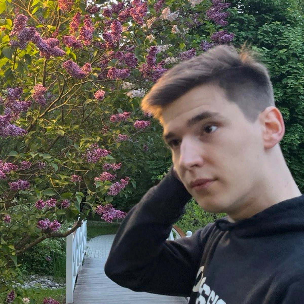 profile avatar