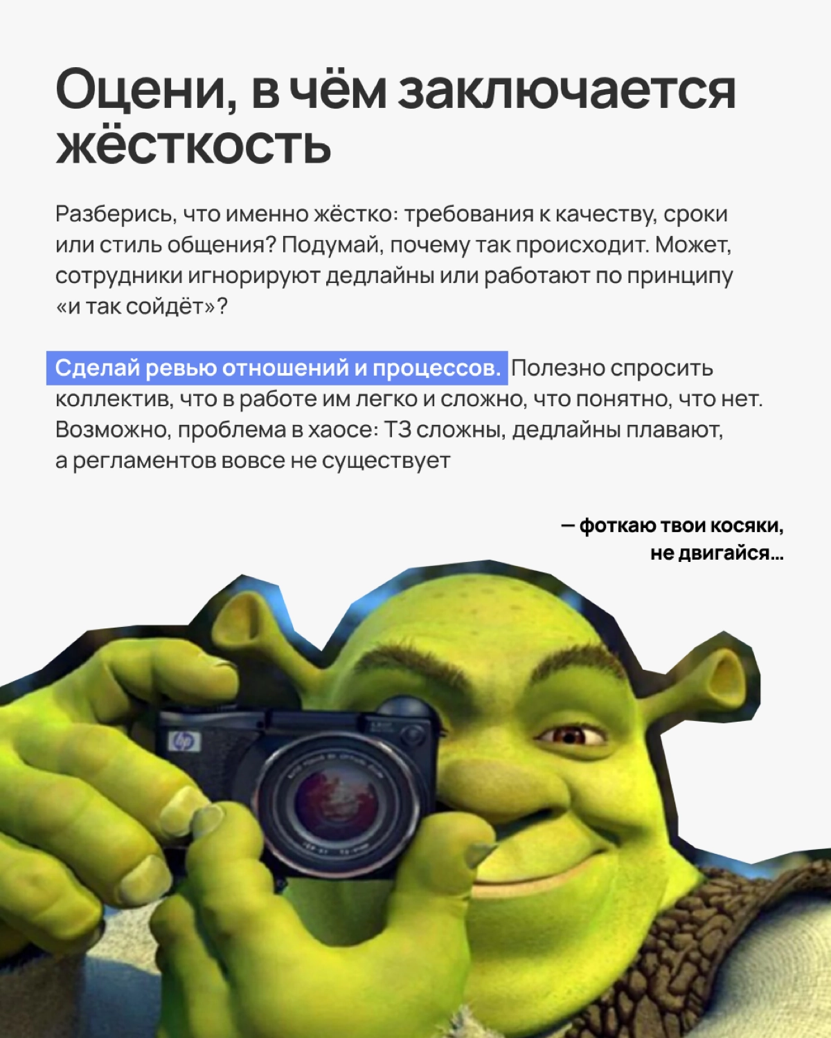 Все мы знаем, как сложно быть Шреком, который постоянно пытается всех научить, не взрываясь от негодования | Сетка — новая социальная сеть от hh.ru