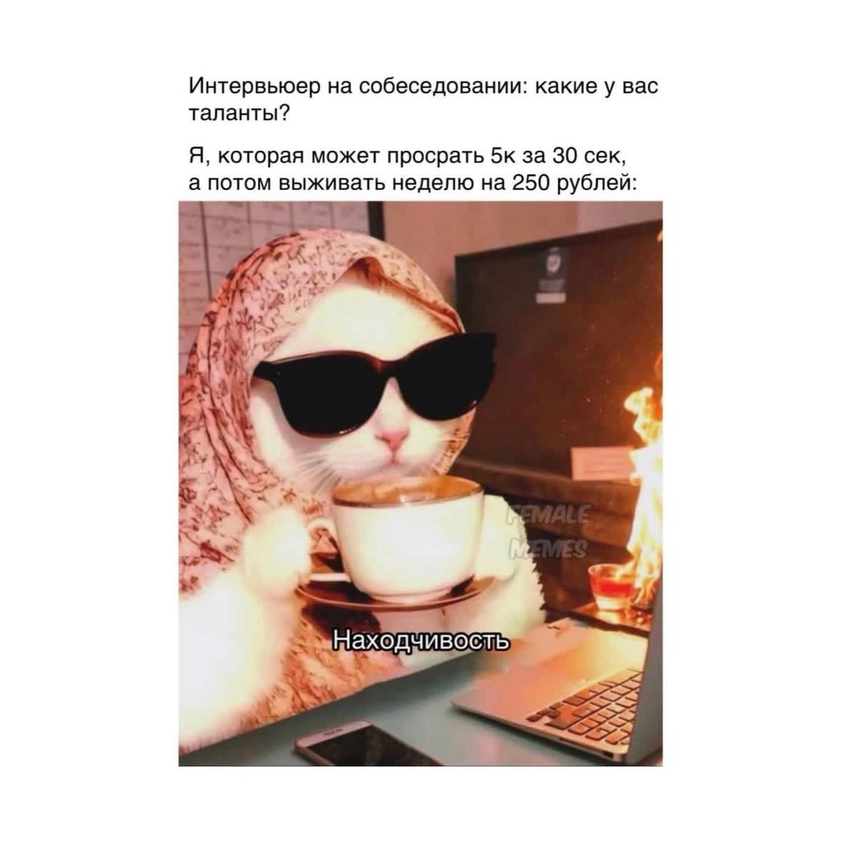 Традиционная порция мемов в четверг 😉 | Сетка — новая социальная сеть от hh.ru