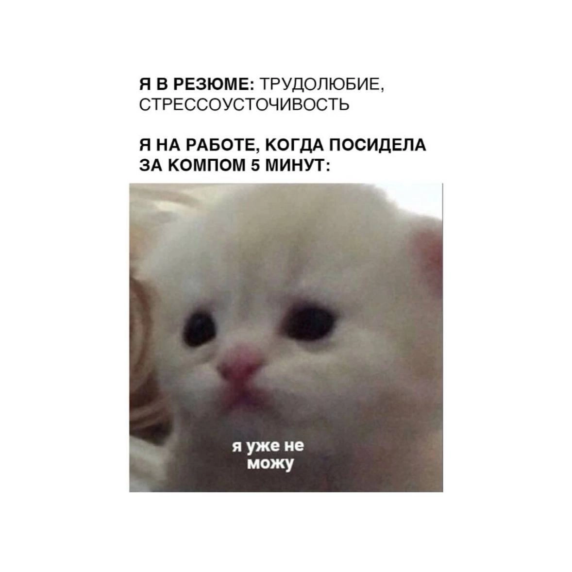 Традиционная порция мемов в четверг 😉 | Сетка — новая социальная сеть от hh.ru