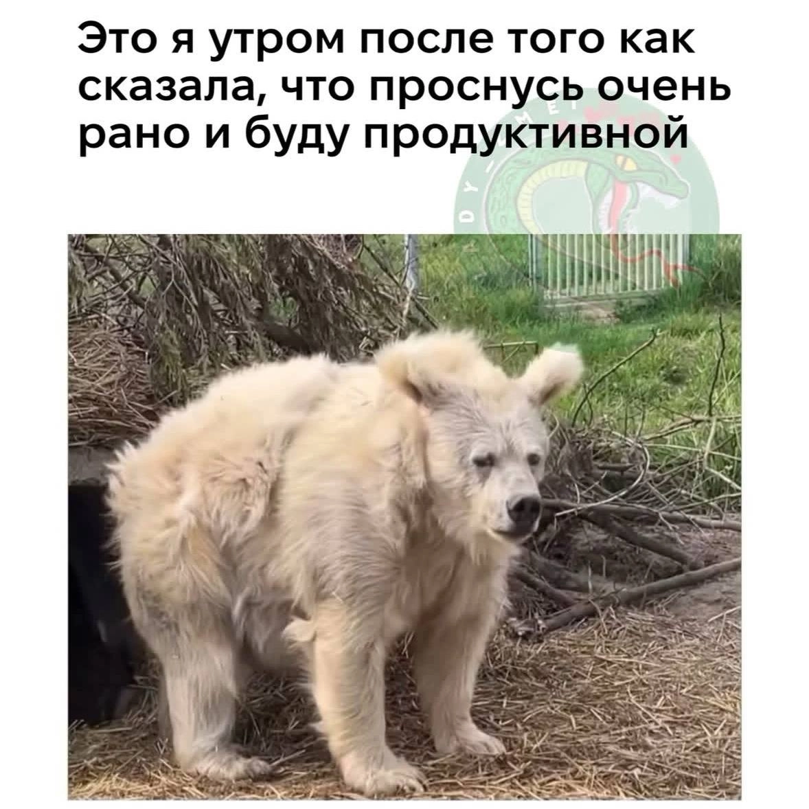 Традиционная порция мемов в четверг 😉 | Сетка — новая социальная сеть от hh.ru