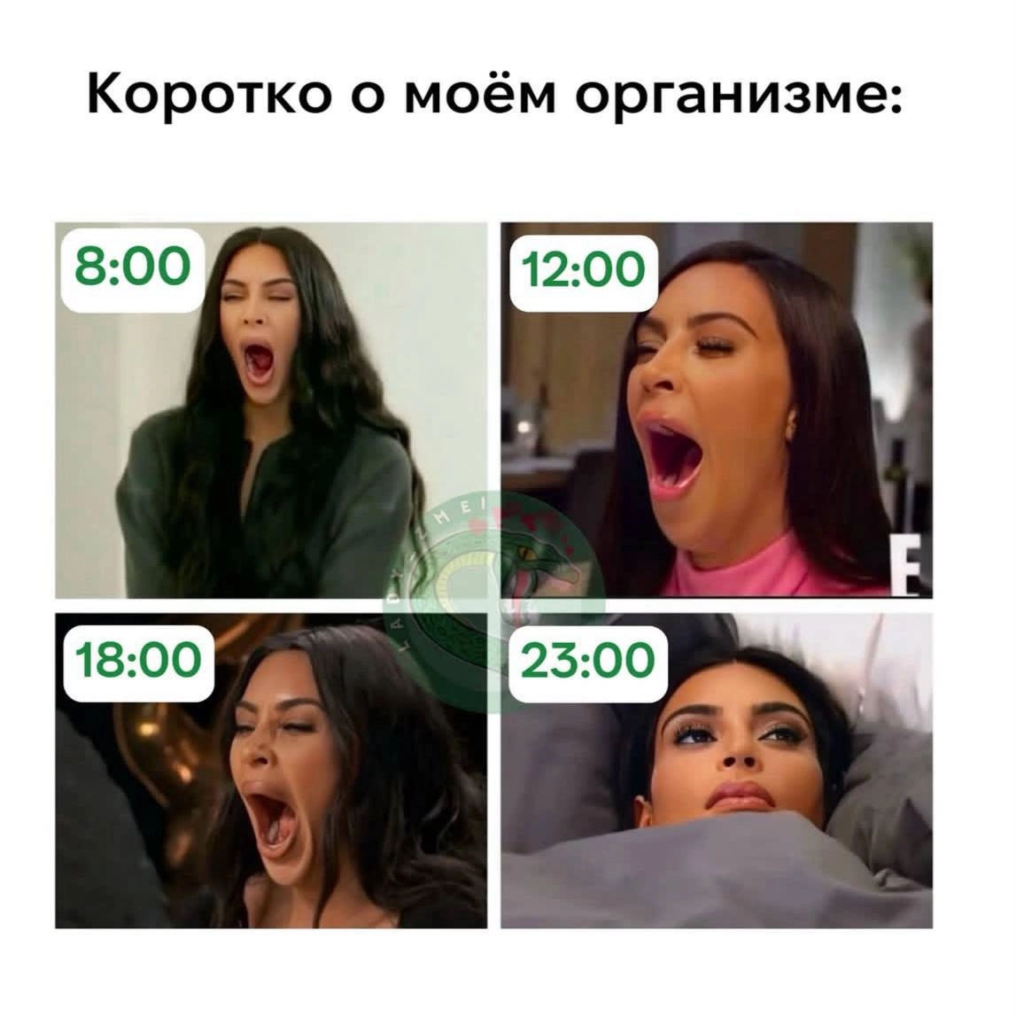 Традиционная порция мемов в четверг 😉 | Сетка — новая социальная сеть от hh.ru