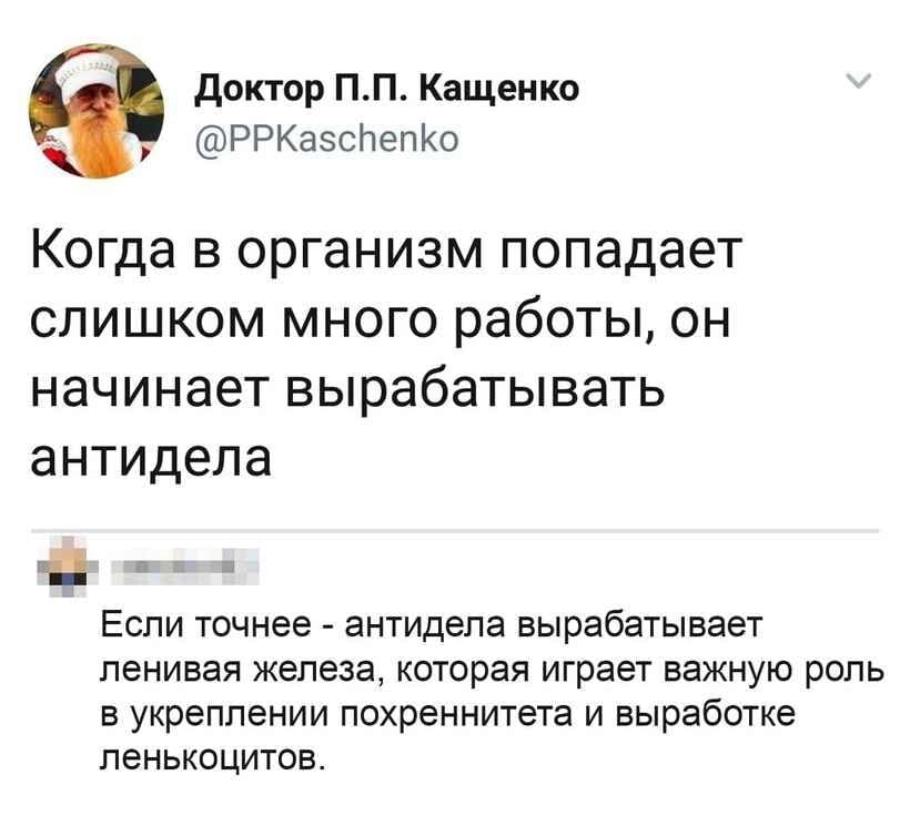 Сетка — новая социальная сеть от hh.ru