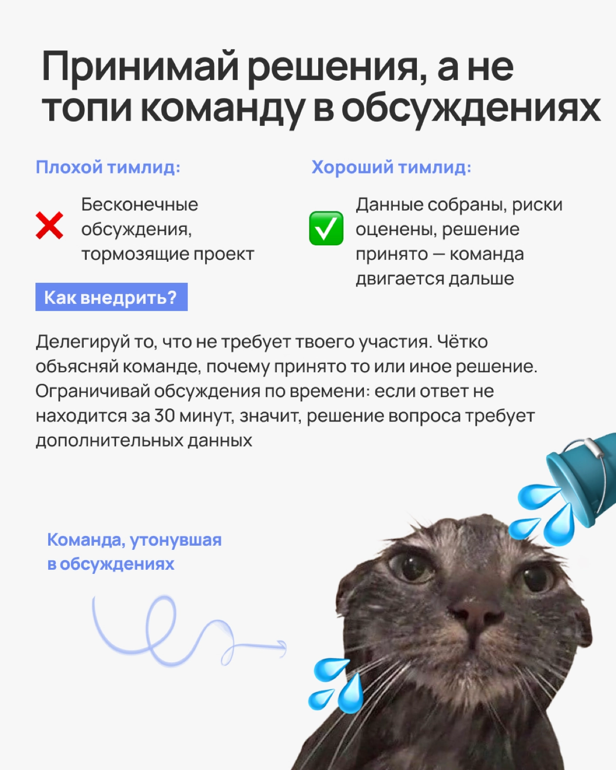 Крутой тимлид создаёт атмосферу, в которой команда работает эффективно и без нервяков | Сетка — новая социальная сеть от hh.ru