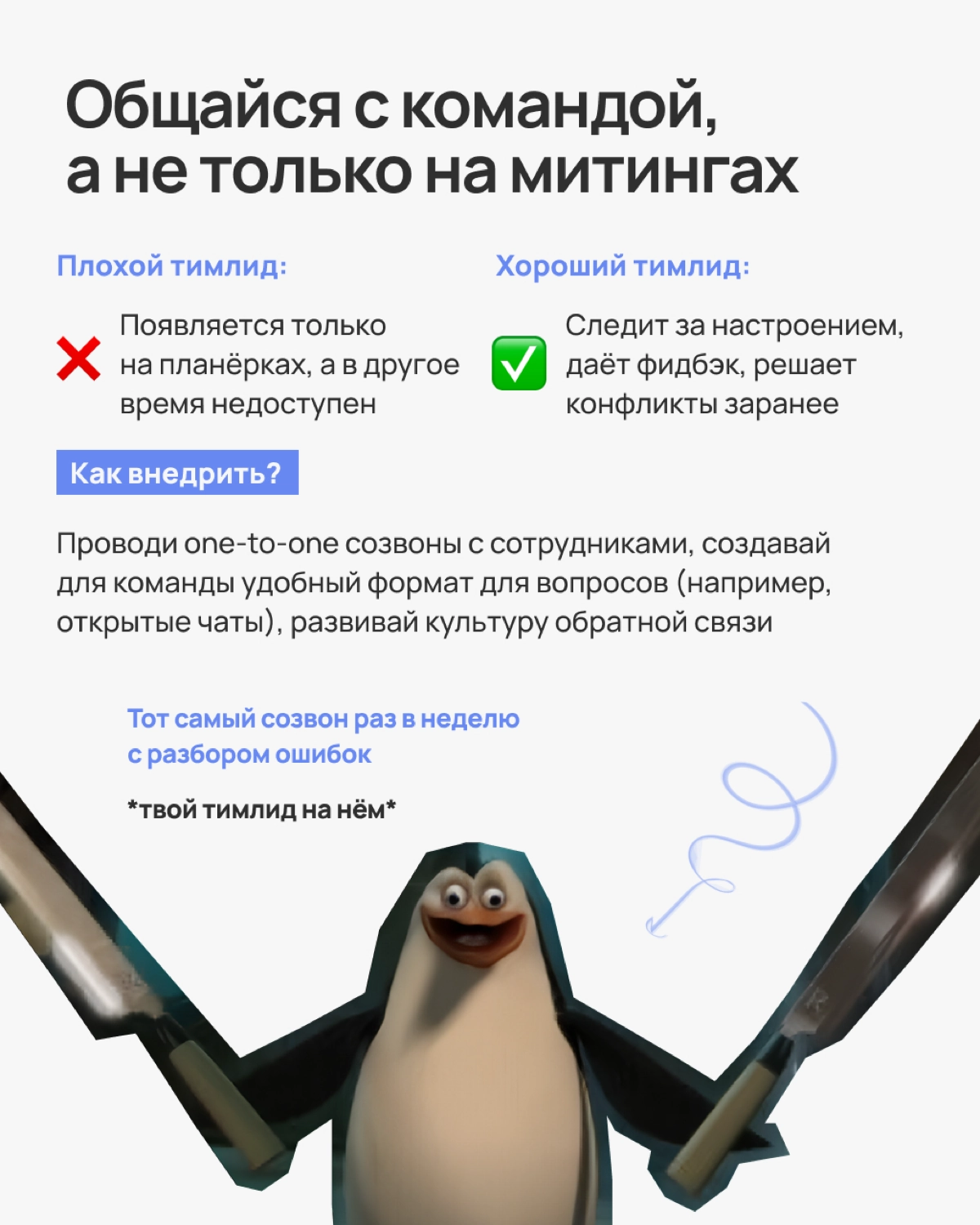Крутой тимлид создаёт атмосферу, в которой команда работает эффективно и без нервяков | Сетка — новая социальная сеть от hh.ru