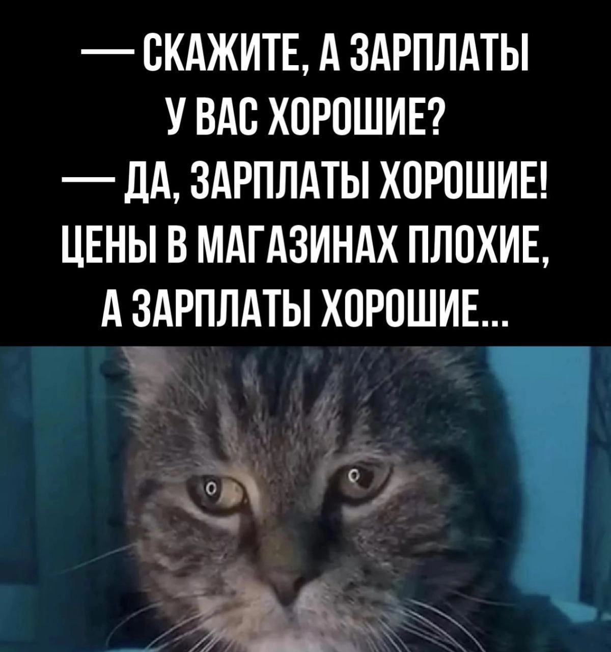 Сетка — новая социальная сеть от hh.ru
