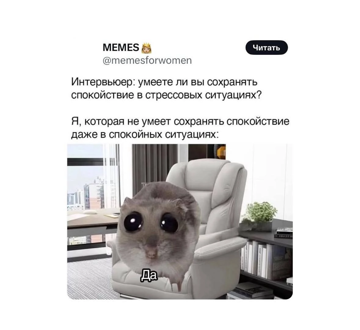 Минутка на посмеяться 🫣 | Сетка — новая социальная сеть от hh.ru